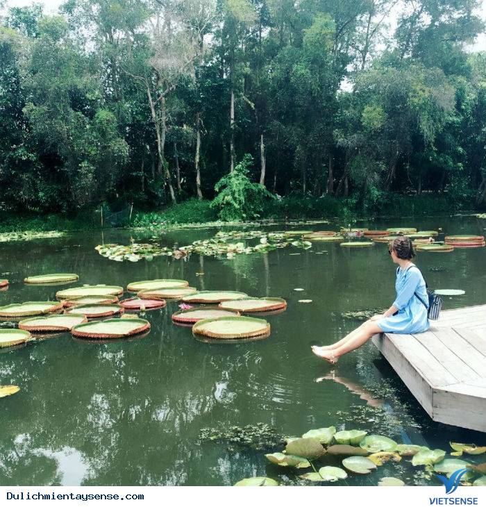 Bạn đã nghe danh ‘’Xẻo Quýt’’ – Đồng Tháp chưa? - Ảnh 6