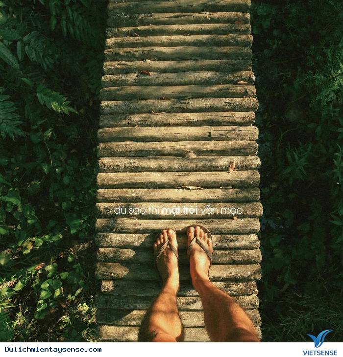 Bạn đã nghe danh ‘’Xẻo Quýt’’ – Đồng Tháp chưa? - Ảnh 9