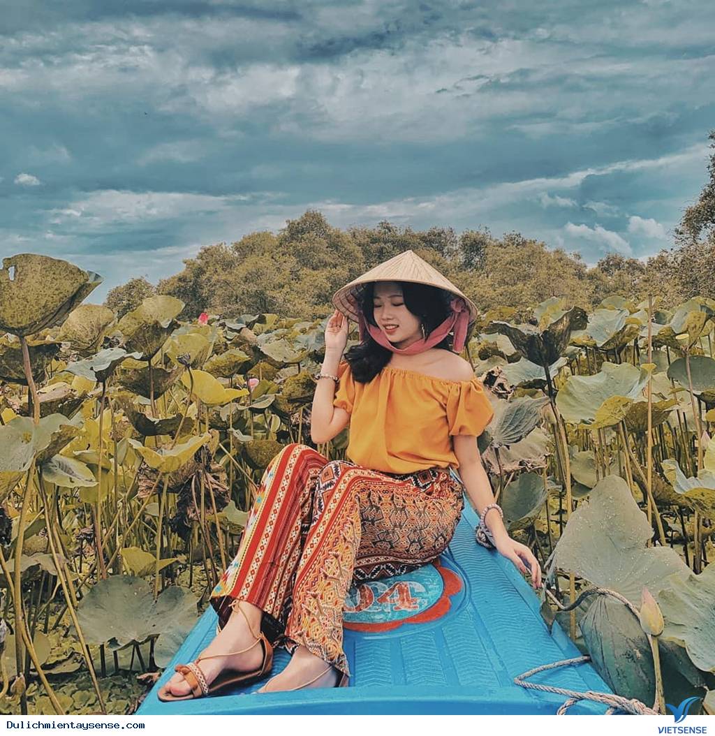 Bến tàu mới mở ở rừng tràm Trà Sư – điểm check-in mới cực chất - Ảnh 3