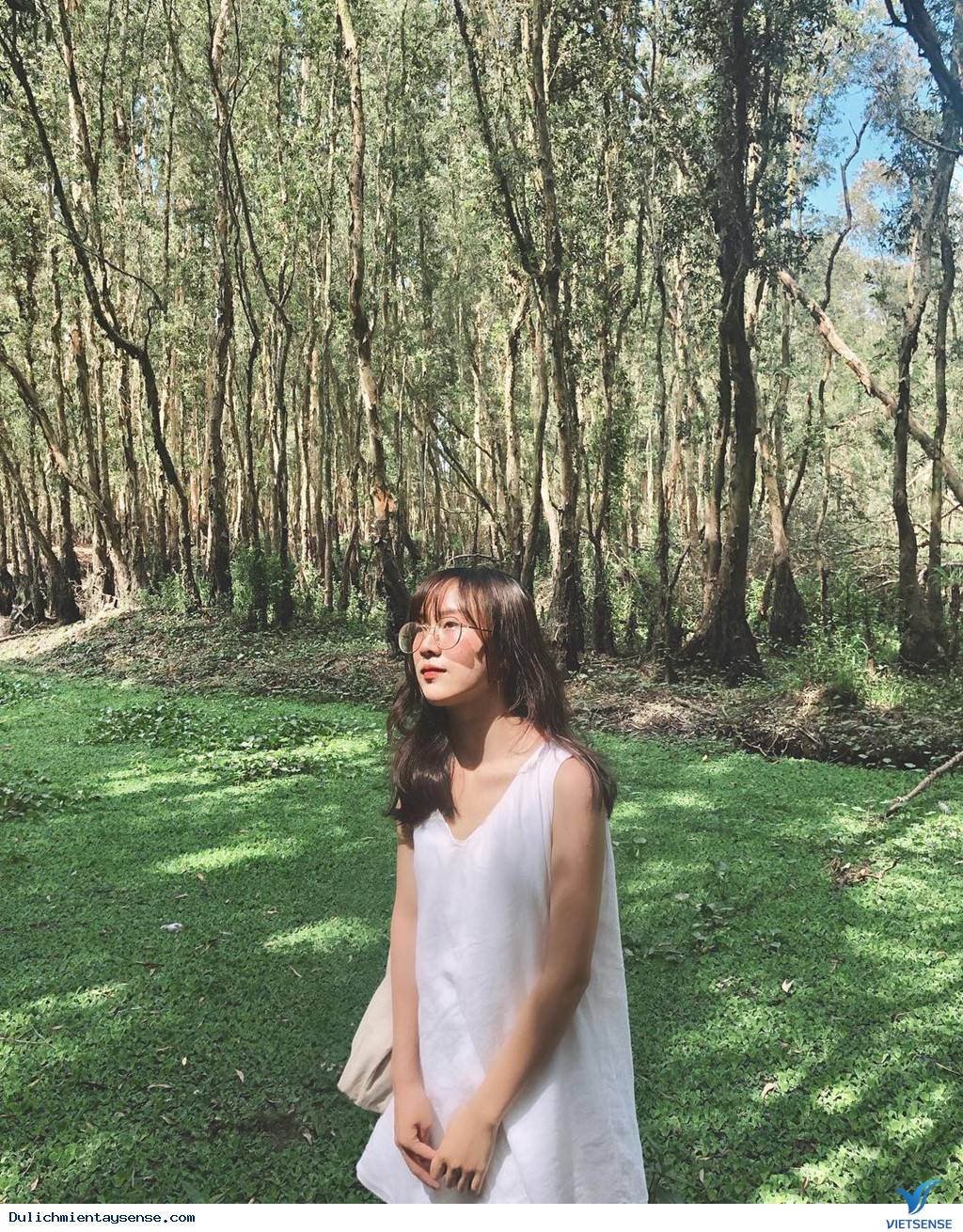 Bến tàu mới mở ở rừng tràm Trà Sư – điểm check-in mới cực chất - Ảnh 4