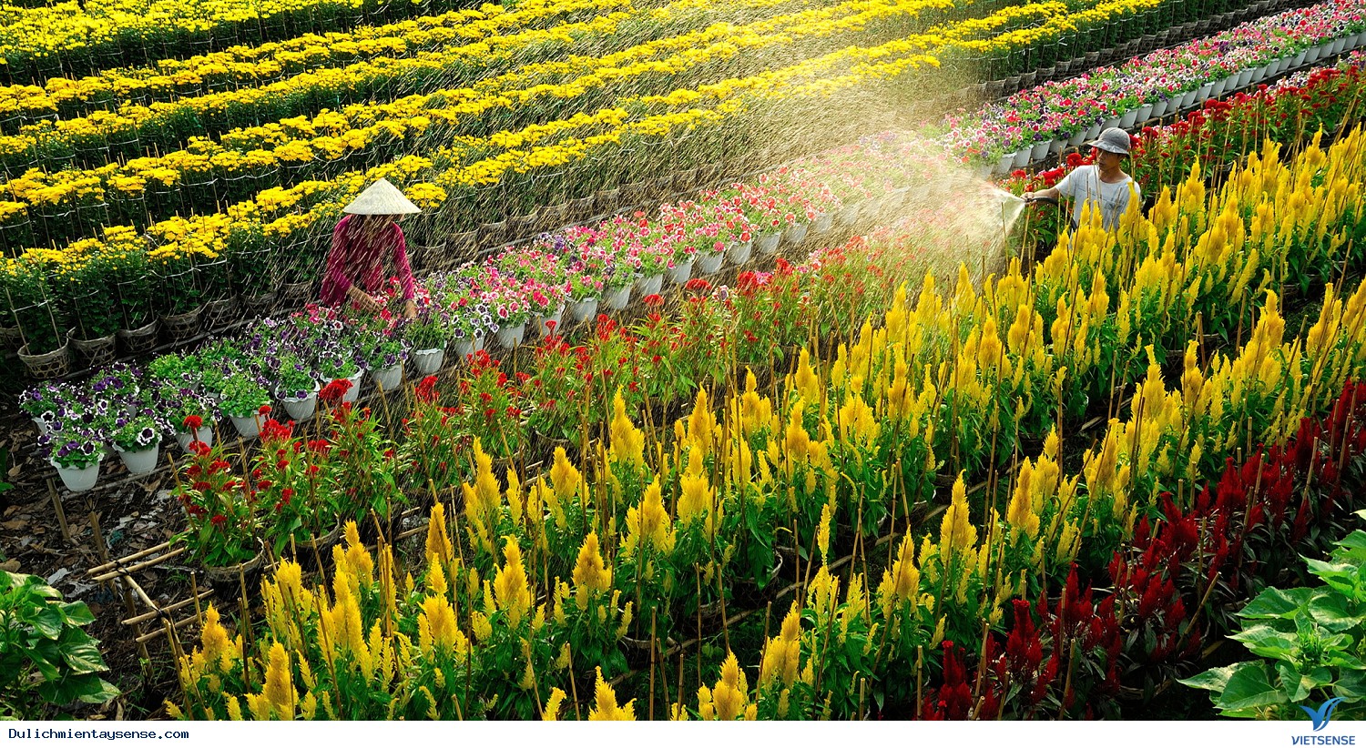 Đặc điểm Của
miền Tây Đặc điểm Của
miền Tây