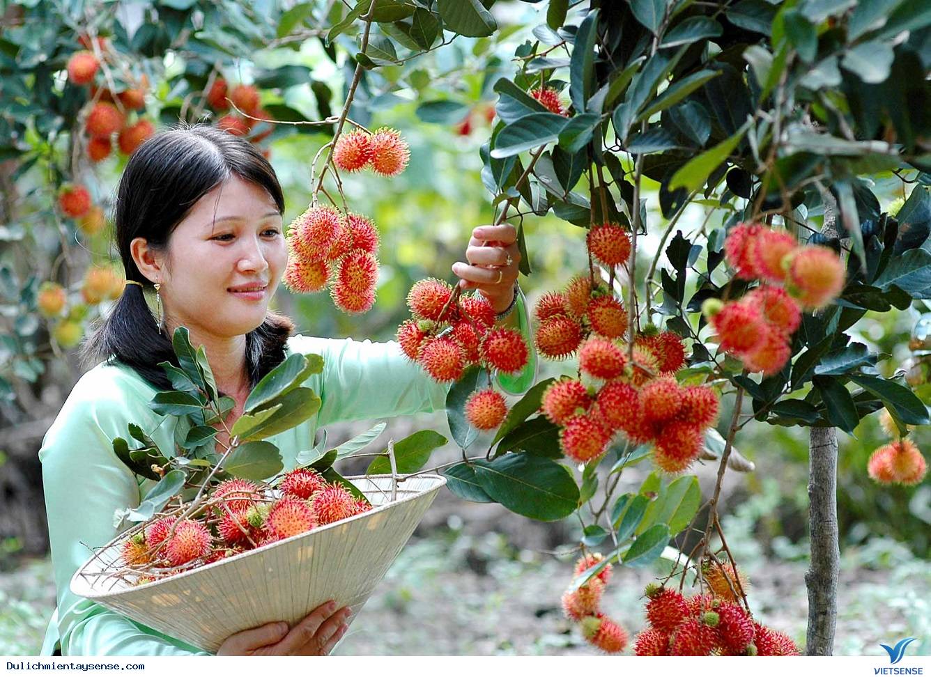 Trái cây miền Tây Trái cây miền Tây