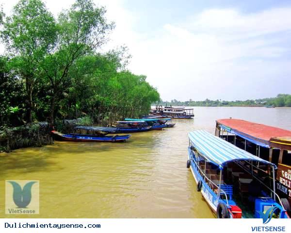 Cồn Quy - Cồn Cát Cồn Quy - Cồn Cát