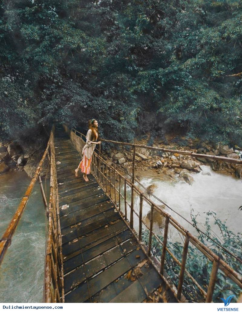 Việt Nam trong mắt quốc tế qua sự giới thiệu của Sarah Trần - Ảnh 3 Việt Nam trong mắt quốc tế qua sự giới thiệu của Sarah Trần - Ảnh 3