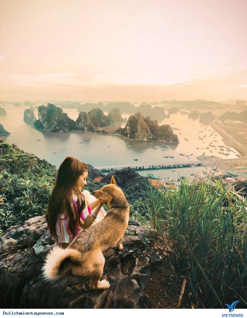 Việt Nam trong mắt quốc tế qua sự giới thiệu của Sarah Trần - Ảnh 4 Việt Nam trong mắt quốc tế qua sự giới thiệu của Sarah Trần - Ảnh 4