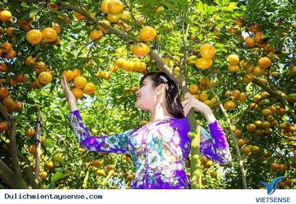 Đâu là những vườn trái cây nổi tiếng tại Miền Tây? - Ảnh 9