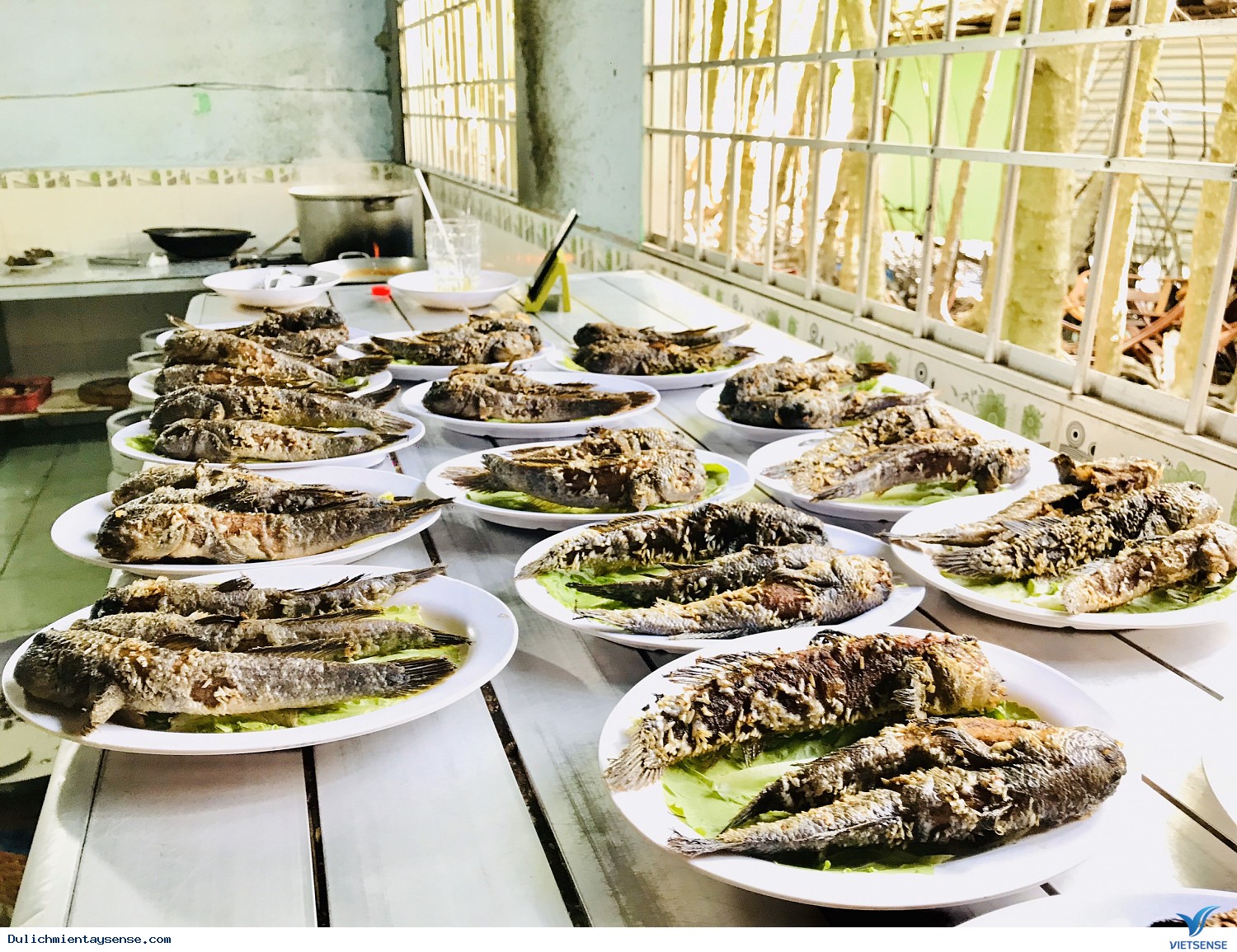 Cùng Các Thầy Cô Giáo Trường Tiểu Học Vinschool - Ảnh 5