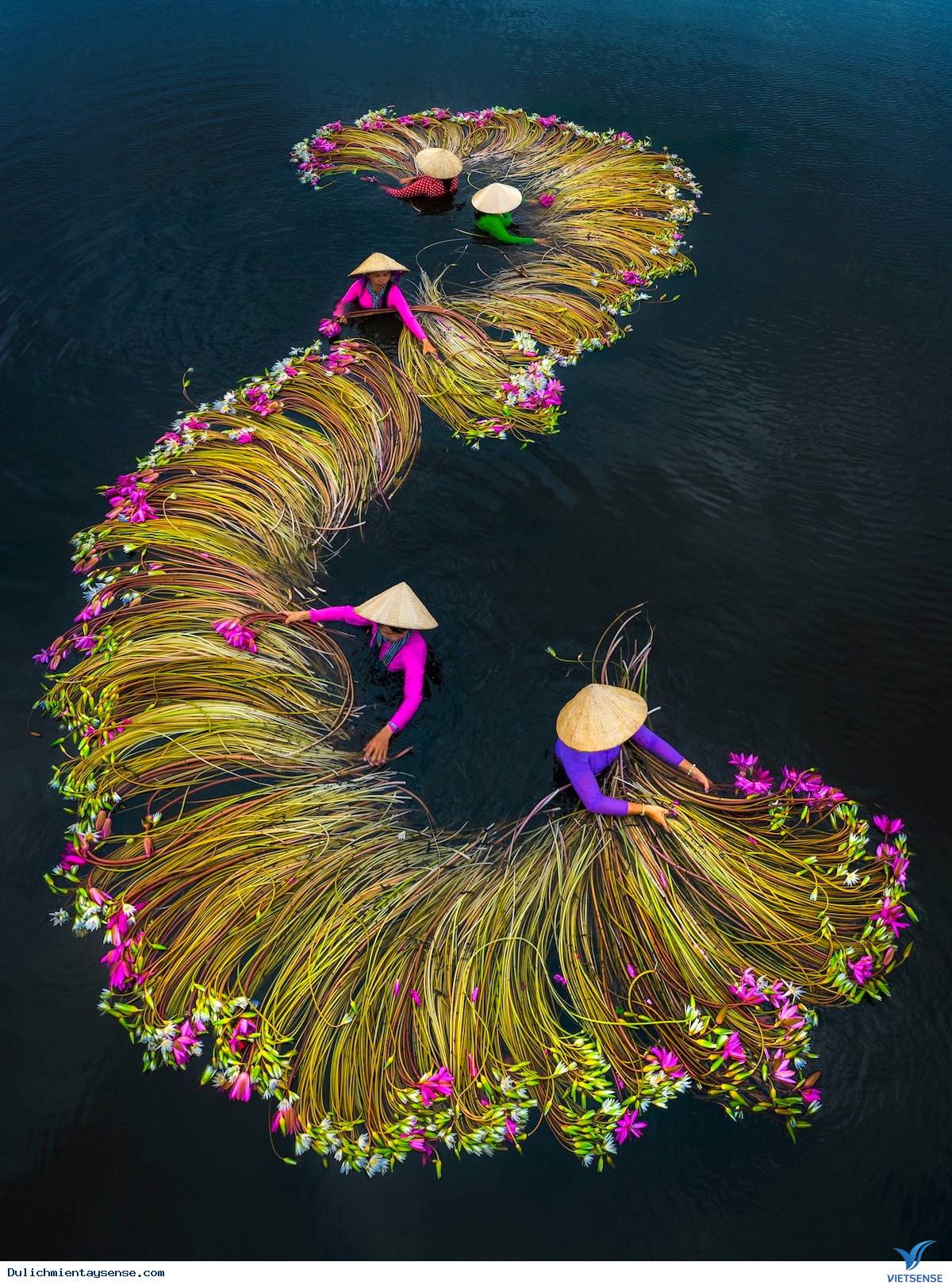 Giao thông Giao thông