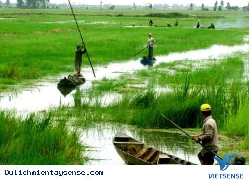 Các thành phố lập từ năm 1999 đến nay: Các thành phố lập từ năm 1999 đến nay: