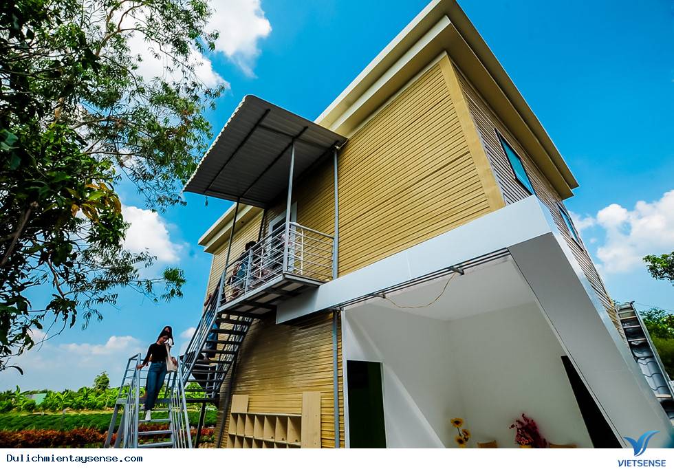 Hiếm lạ với ngôi nhà 'chổng ngược' giữa làng hoa Sa Đéc, miền Tây - Ảnh 4