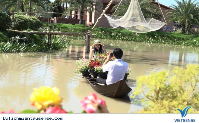 Kinh ngạc với cánh đồng hoa hồng có biểu diễn cá lóc bay - Ảnh 1 Kinh ngạc với cánh đồng hoa hồng có biểu diễn cá lóc bay - Ảnh 1