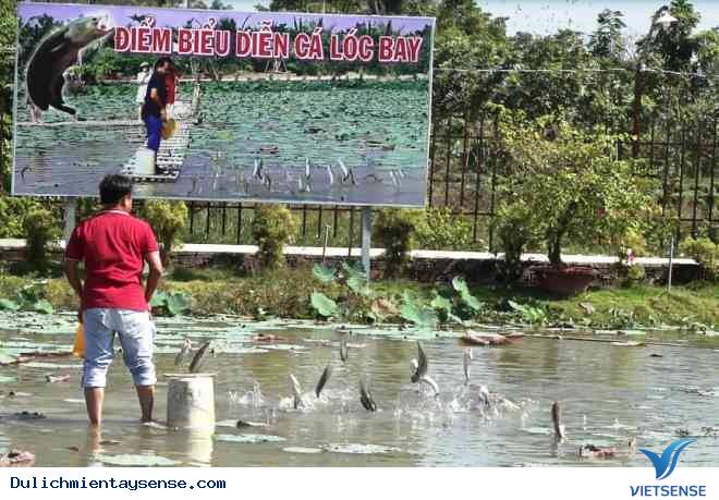 Kinh ngạc với cánh đồng hoa hồng có biểu diễn cá lóc bay - Ảnh 2 Kinh ngạc với cánh đồng hoa hồng có biểu diễn cá lóc bay - Ảnh 2