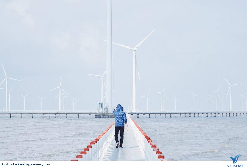 Mê mẩn với những góc sống ảo tại cánh đồng quạt gió ở Bạc Liêu - Ảnh 2 Mê mẩn với những góc sống ảo tại cánh đồng quạt gió ở Bạc Liêu - Ảnh 2