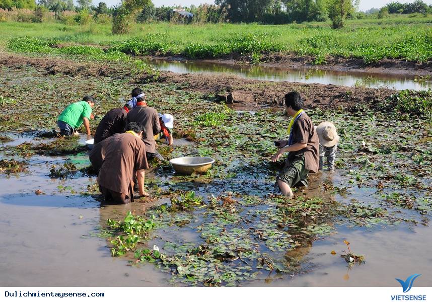 Nguồn sinh khí mạnh mẽ khi nguồn nước tràn về - Ảnh 1 Nguồn sinh khí mạnh mẽ khi nguồn nước tràn về - Ảnh 1