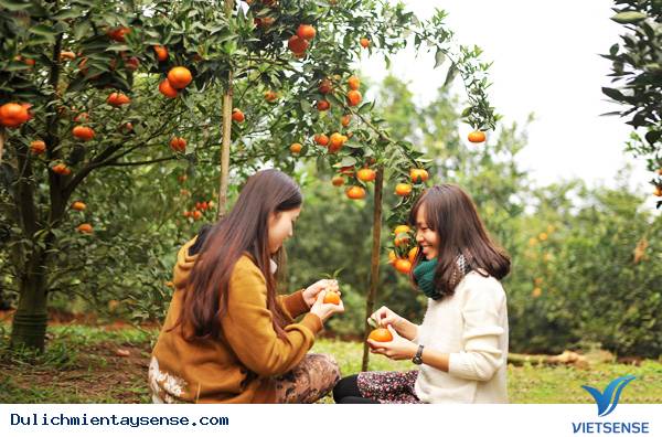 Du lịch miền tây mùa nào đẹp nhất Du lịch miền tây mùa nào đẹp nhất