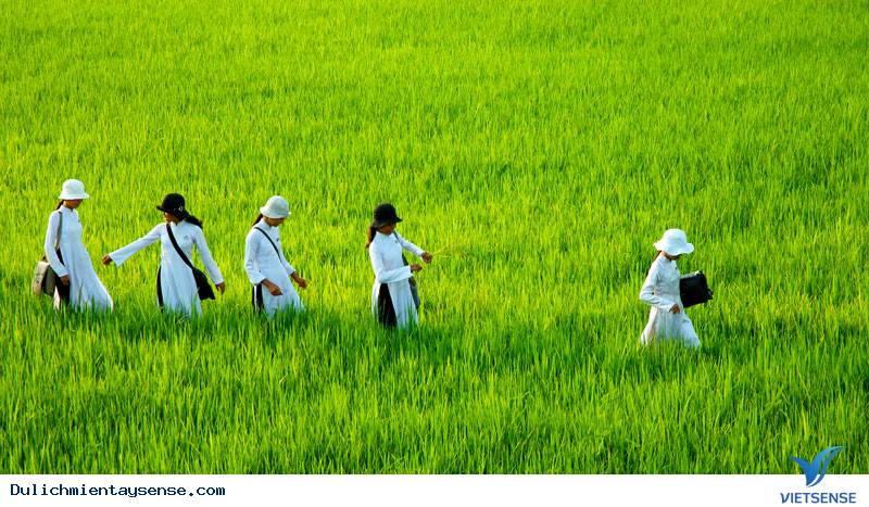 Nền du lịch miền tây vào mùa nào Nền du lịch miền tây vào mùa nào