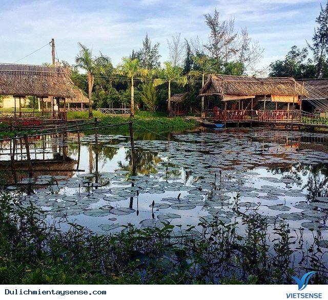 Rụng tim trước cánh đồng quạt gió đẹp ngút trời ở Bạc Liêu - Ảnh 11 Rụng tim trước cánh đồng quạt gió đẹp ngút trời ở Bạc Liêu - Ảnh 11