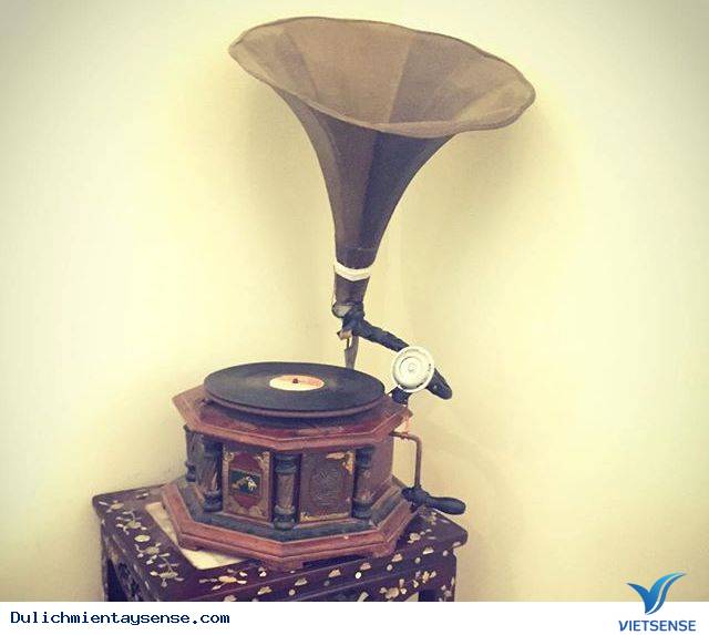 Rụng tim trước cánh đồng quạt gió đẹp ngút trời ở Bạc Liêu - Ảnh 10 Rụng tim trước cánh đồng quạt gió đẹp ngút trời ở Bạc Liêu - Ảnh 10