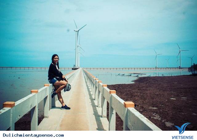 Rụng tim trước cánh đồng quạt gió đẹp ngút trời ở Bạc Liêu - Ảnh 2 Rụng tim trước cánh đồng quạt gió đẹp ngút trời ở Bạc Liêu - Ảnh 2