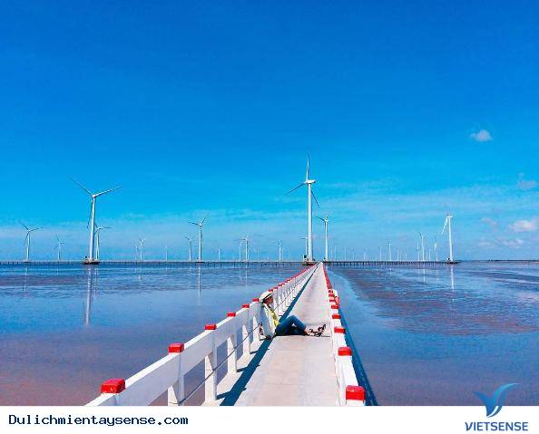 Rụng tim trước cánh đồng quạt gió đẹp ngút trời ở Bạc Liêu - Ảnh 3 Rụng tim trước cánh đồng quạt gió đẹp ngút trời ở Bạc Liêu - Ảnh 3