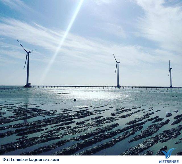 Rụng tim trước cánh đồng quạt gió đẹp ngút trời ở Bạc Liêu - Ảnh 7 Rụng tim trước cánh đồng quạt gió đẹp ngút trời ở Bạc Liêu - Ảnh 7