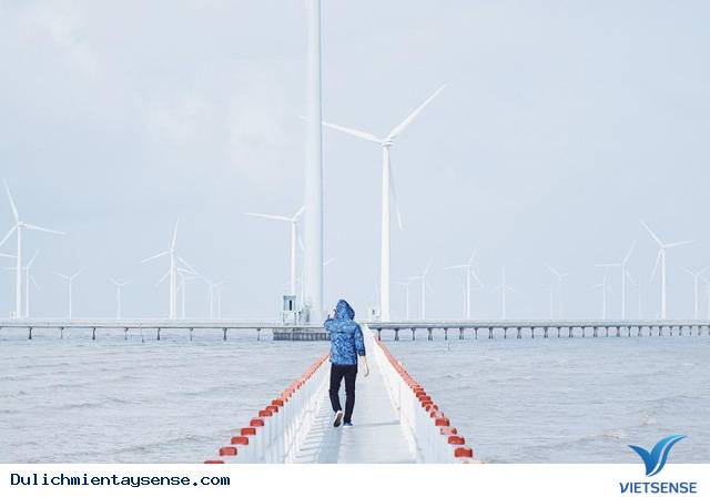 Rụng tim trước cánh đồng quạt gió đẹp ngút trời ở Bạc Liêu - Ảnh 4 Rụng tim trước cánh đồng quạt gió đẹp ngút trời ở Bạc Liêu - Ảnh 4