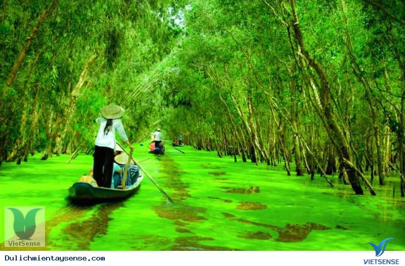 Rừng tràm Trà Sư Rừng tràm Trà Sư