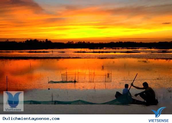 Sông Hậu - Hậu Giang - Ảnh 2 Sông Hậu - Hậu Giang - Ảnh 2