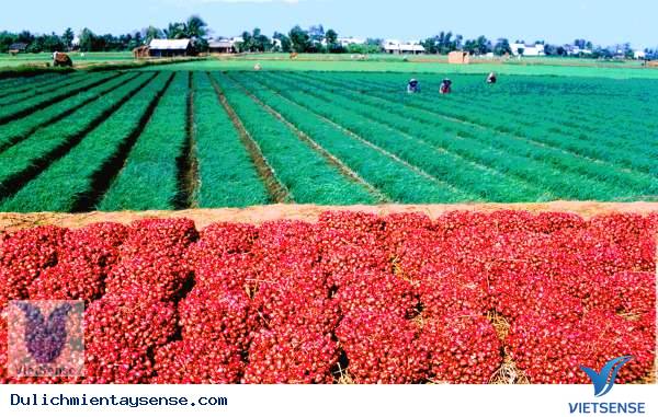 du lich mien tay du lich mien tay