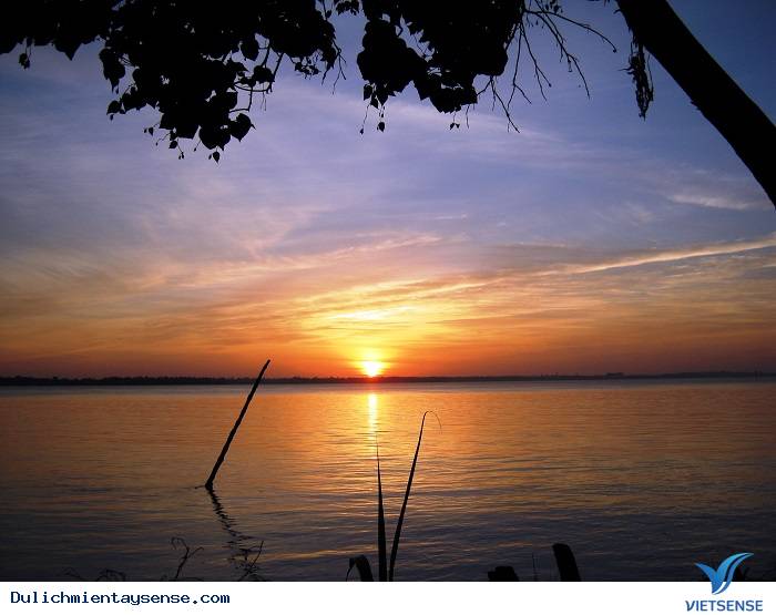 Vui quên lối vế tại chợ đêm Cần Thơ - Ảnh 1 Vui quên lối vế tại chợ đêm Cần Thơ - Ảnh 1